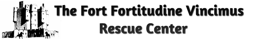 The Fort-Fortitudine Vincimus Rescue Center