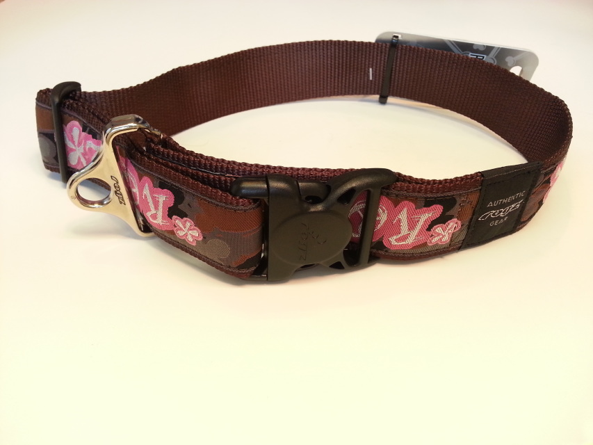 lv dog collar for large dogs